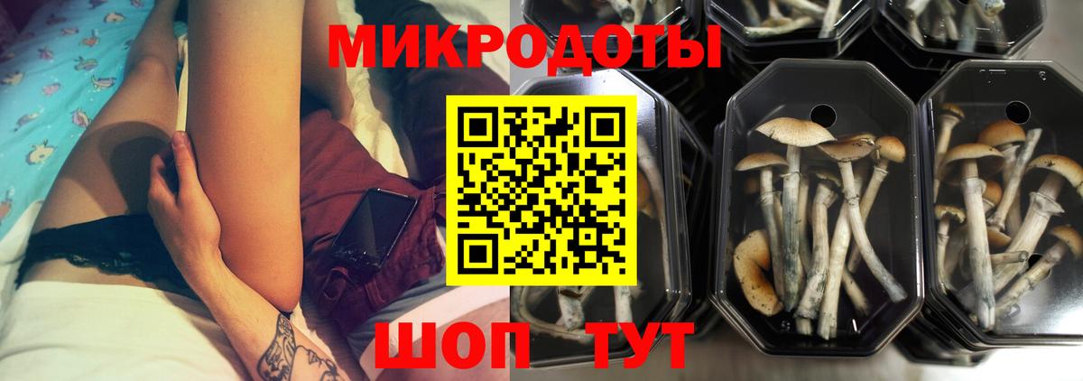 Псилоцибиновые грибы Psilocybine cubensis  Вход с VPN  Вязники 